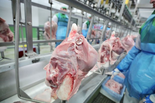 fot. stasin.pl ZD Stasin: 40 procent naszej produkcji trafia na eksport