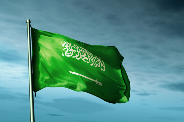 fot. shutterstock Arabia Saudyjska stawia na samowystarczalność w produkcji drobiarskiej