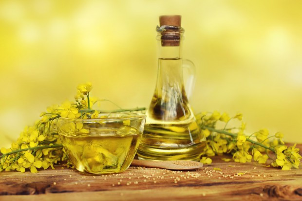 IERiGŻ: Więszy import produktów oleistych w 2017 r.