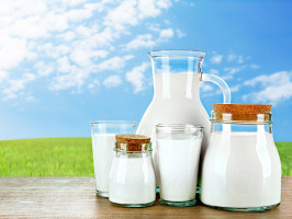 fot. shutterstock Polska Izba Mleka: Pogarsza się koniunktura na rynku mleka