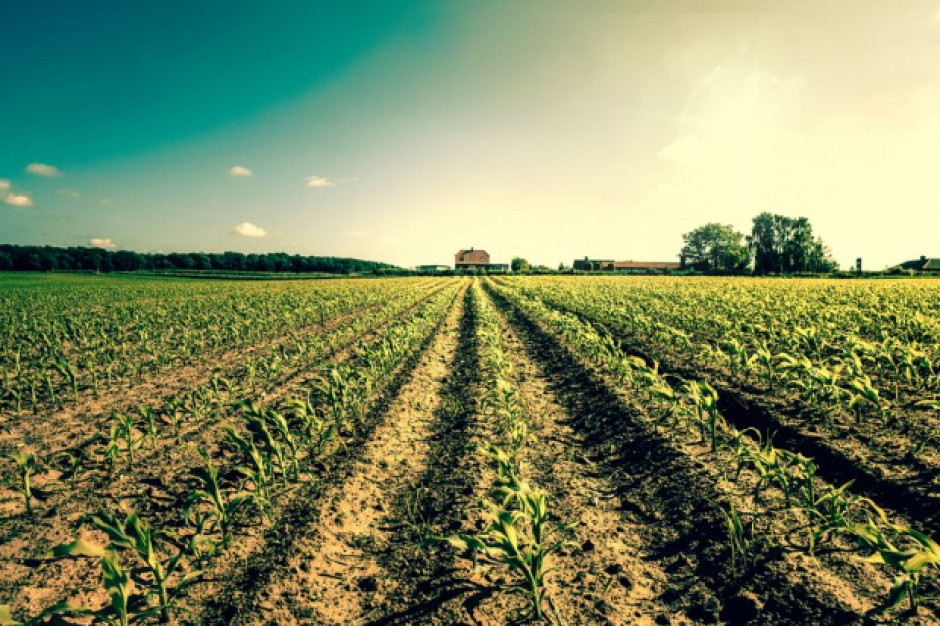 Fot. shutterstock Ziemia rolna w Polsce nadal drożeje