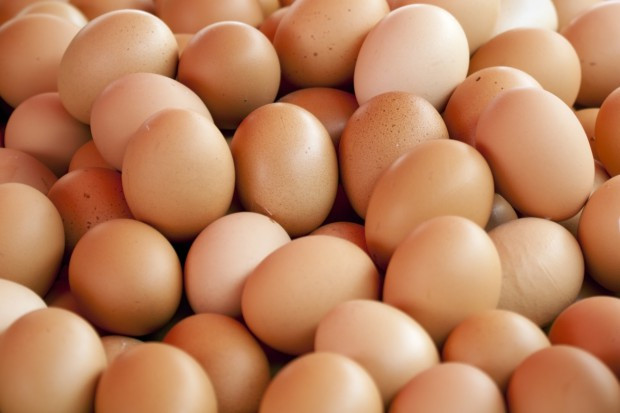 fot. shutterstock Struktura rynku jaj na Ukrainie bliska oligopolowi