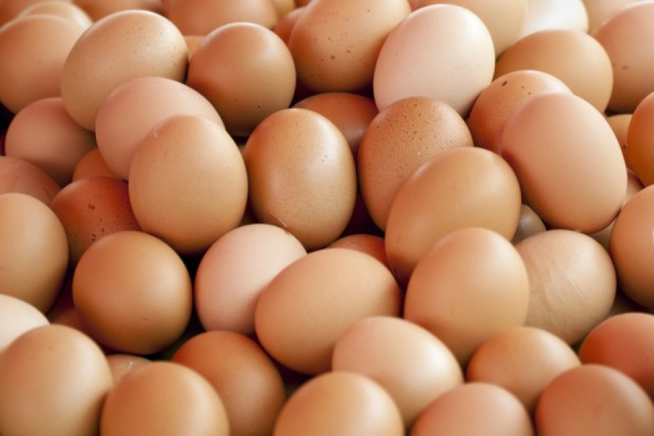 fot. shutterstock Struktura rynku jaj na Ukrainie bliska oligopolowi