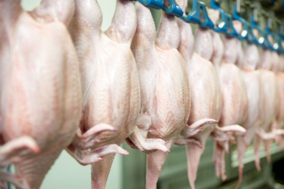 fot. shutterstock Rynek drobiu w UE: Coraz większa presja na producentów przy rosnącym imporcie z krajów trzecich