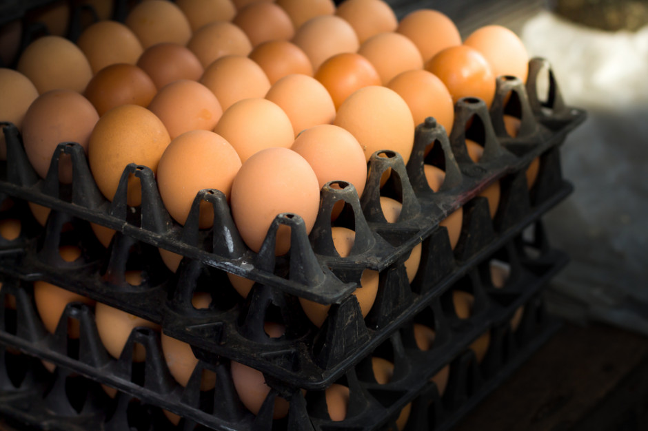 Ukraina: Ovostar Union chce produkować 2 mld jaj rocznie i zwiększać eksport do UE