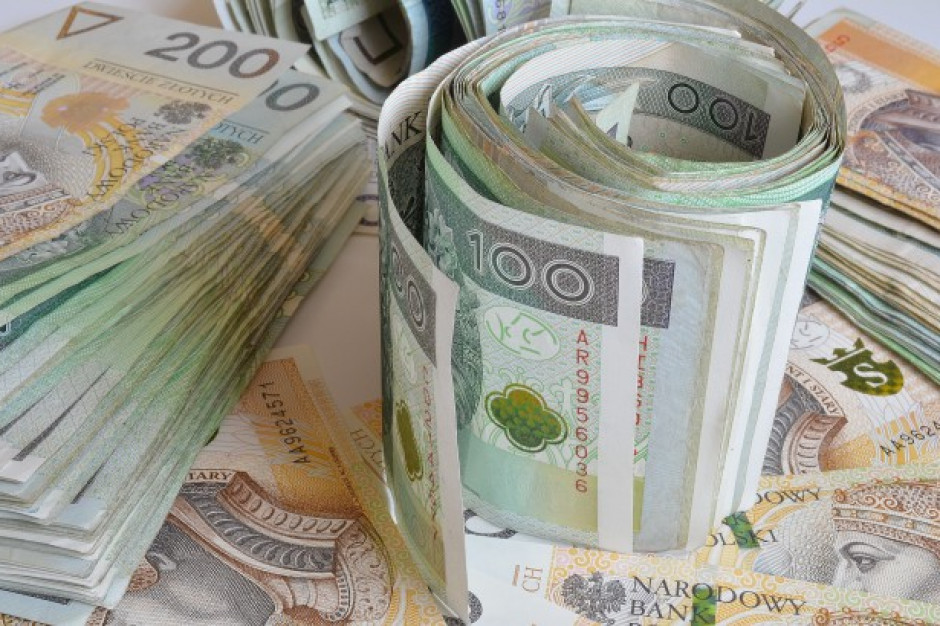 fot. shutterstock Środki na dopłaty dla polskich rolników ścięte o ok. 1 proc.