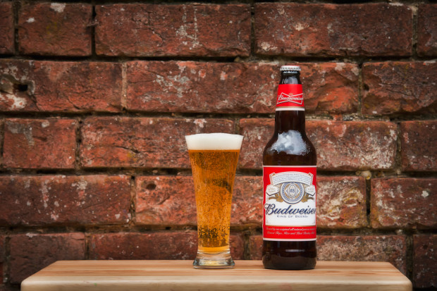 fot. Shutterstock AB InBev z lepszymi przychodami w I kw. 2018, ale lekko spadły wolumeny