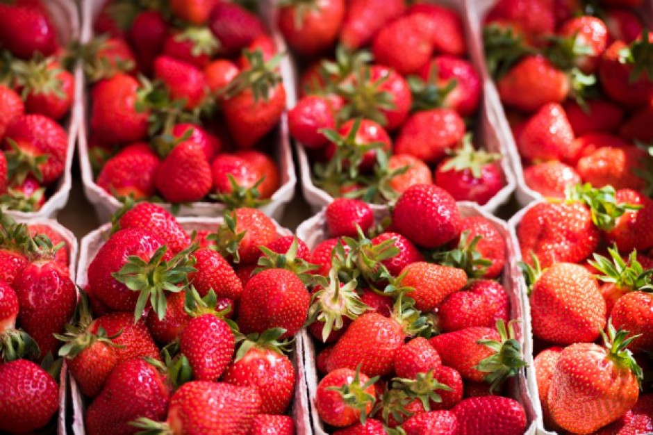 fot. shutterstock Trwa nagonka na polskich producentów truskawki. To celowe działanie?