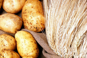 fot. shutterstock Raport IERiGŻ: W kwietniu 2018 r. poprawiła się koniunktura w rolnictwie