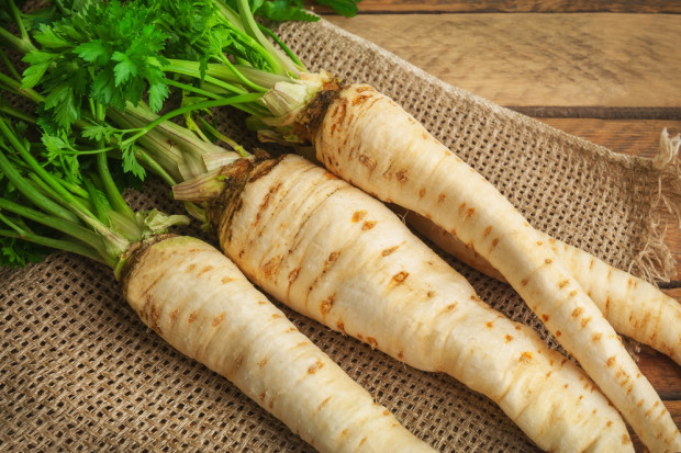 fot. Shutterstock Rekordowe ceny pietruszki. Rolnicy przecierają oczy ze zdumienia