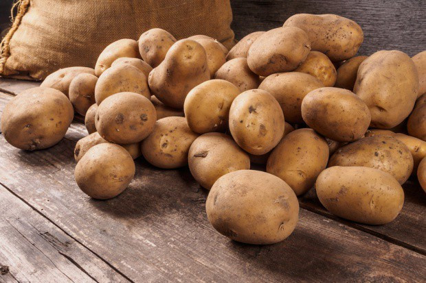 fot. shutterstock Analiza IERiGŻ: Nadprodukcja ziemniaków wpływa na niski poziom ich cen