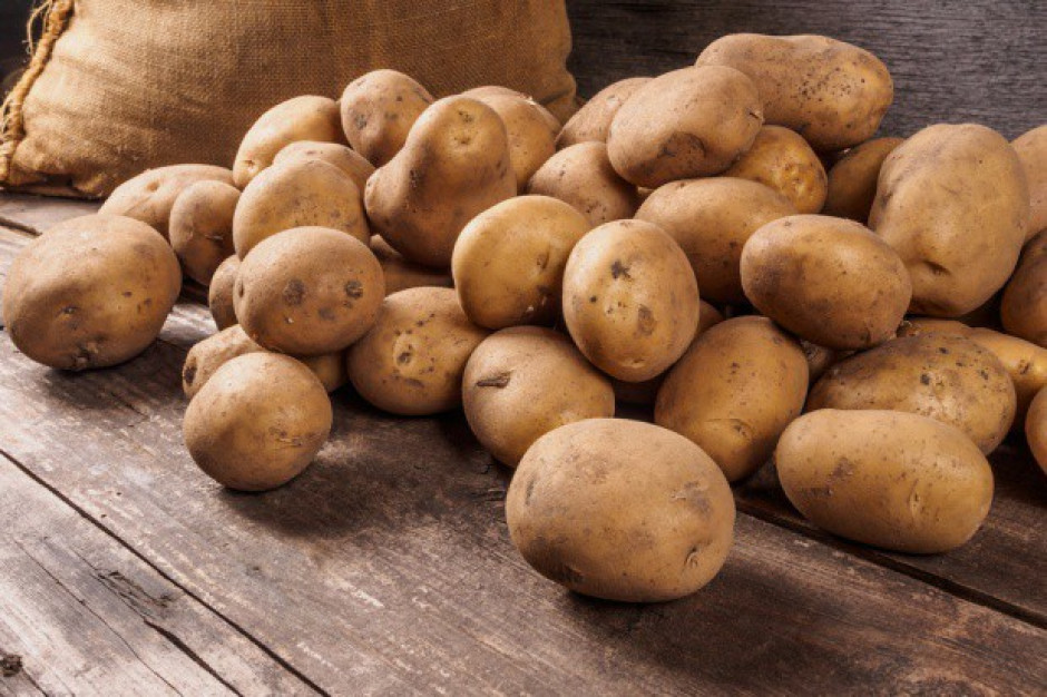 fot. shutterstock Analiza IERiGŻ: Nadprodukcja ziemniaków wpływa na niski poziom ich cen