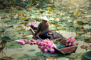 Wietnam - rynek wart zachodu