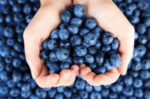 fot. shutterstock Borówka to polski superfood (wideo)