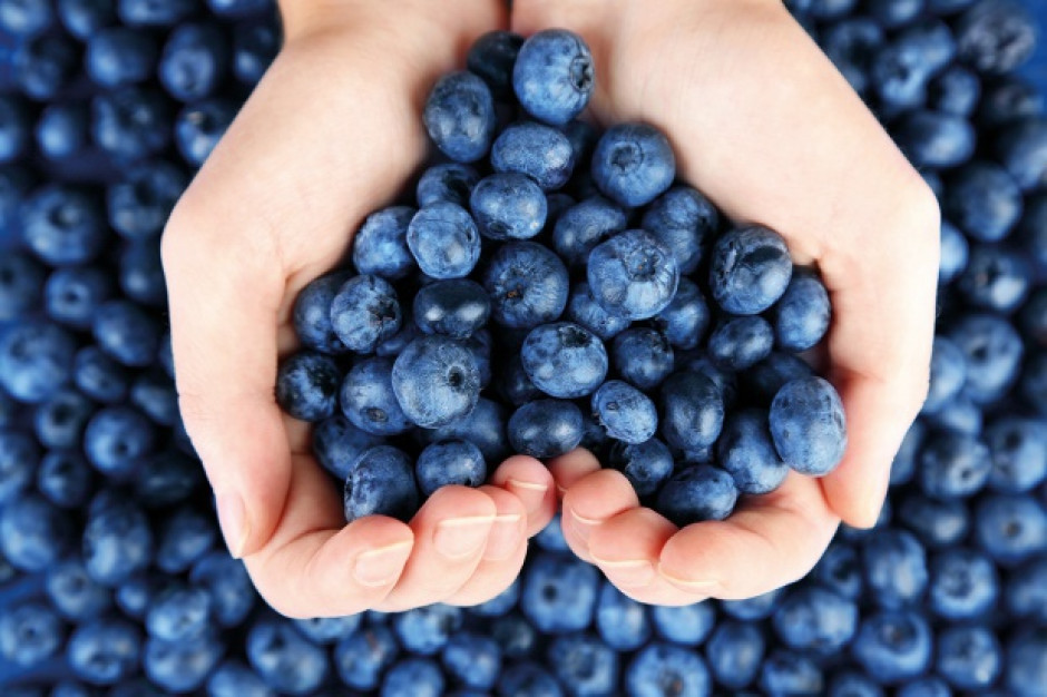 fot. shutterstock Borówka to polski superfood (wideo)