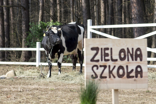 fot. Polmlek Polmlek chce edukować konsumentów