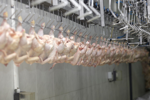 fot. shutterstock Francja: LDC i Saudyjczycy przejmą aktywa Groupe Doux
