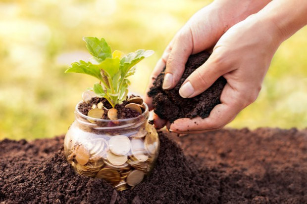 fot. shutterstock KE: Wspólna polityka rolna oszczędna, ale bardziej przyjazna dla środowiska