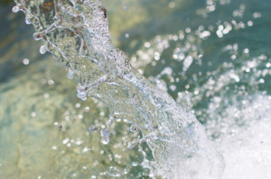 Fot. Shutterstock Woda jest kluczowym zasobem dla mleczarstwa