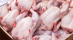 fot. shutterstock Drób: Spada tempo wzrostu produkcji, rosną ceny