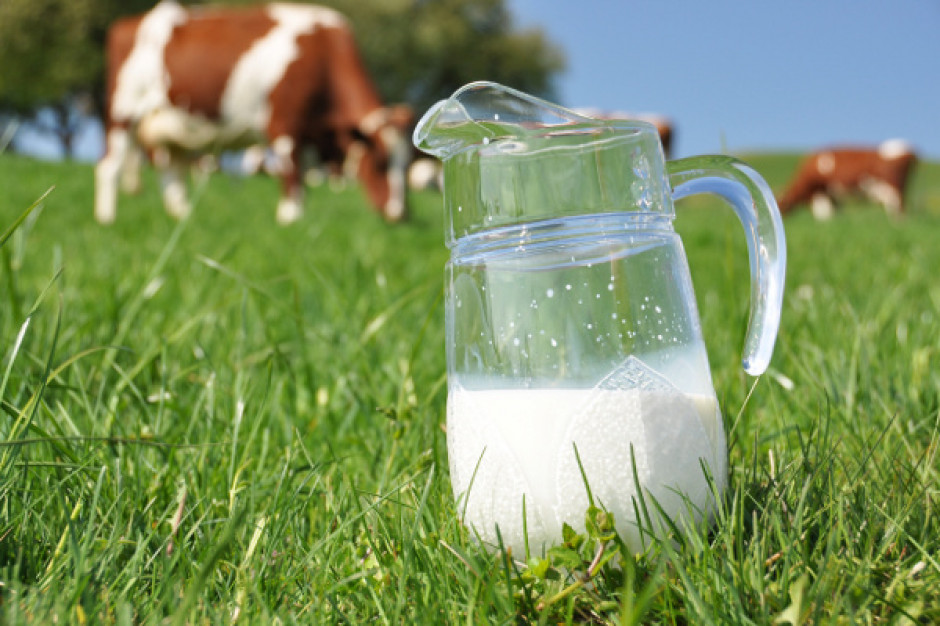 W maju dalszy spadek cen mleka
