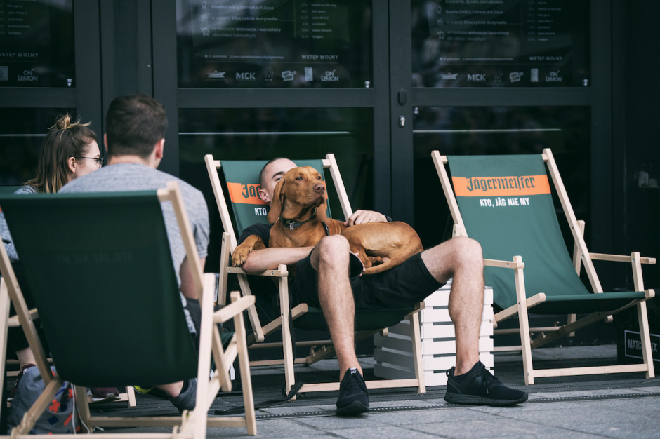 GASTRO FAJER Zdjęcie numer 13 - galeria: Gastro Fajer: Czym wyróżnia się street food na Śląsku? (relacja foto + wideo)