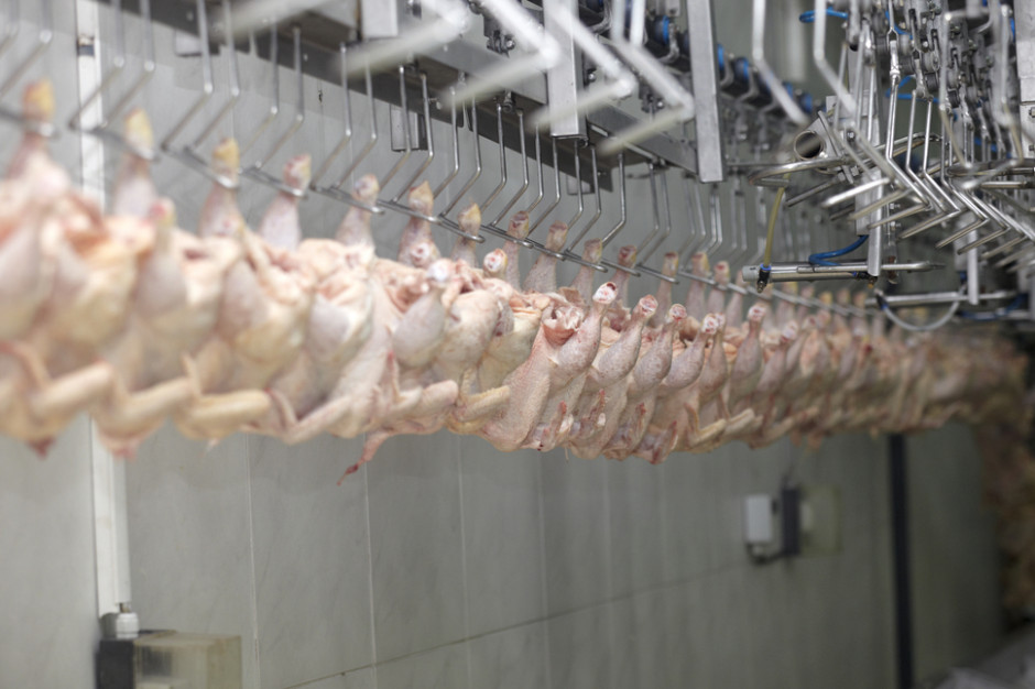 fot. shutterstock Ukraina: MHP zwiększa moce produkcyjne