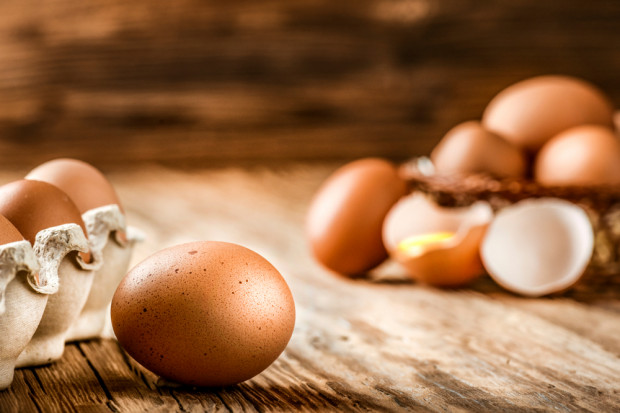 fot. shutterstock Ukraiński Ovostar inwestuje na Łotwie z myślą o zwiększeniu eksportu do UE
