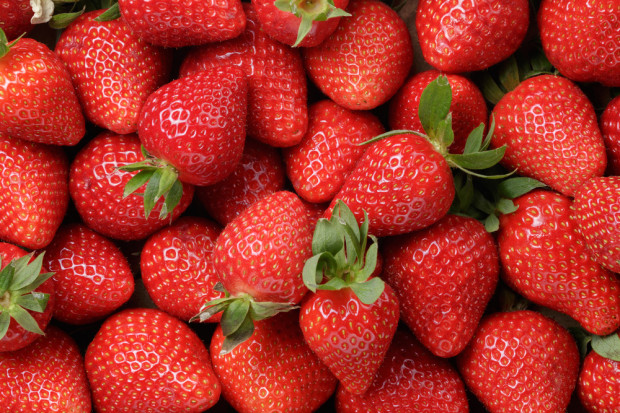 Fot. shutterstock Szwecja: Sanepid potwierdza - polskie truskawki są źródłem wirusa