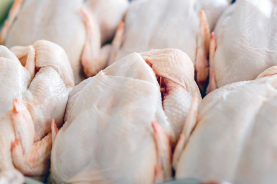 fot. shutterstock Niemieccy hodowcy drobiu chcą wzrostu cen skupu w następstwie suszy