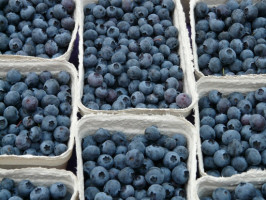 fot. pixabay Ceny borówek amerykańskich sięgają 17 zł/kg