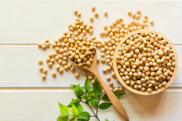 fot. shutterstock.com Naukowcy: Dieta bogata w soję może zwiększać siłę kości u kobiet