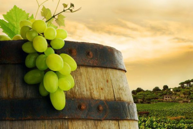 fot. Shutterstock Deklaracje o rynku wina trzeba złożyć do końca sierpnia