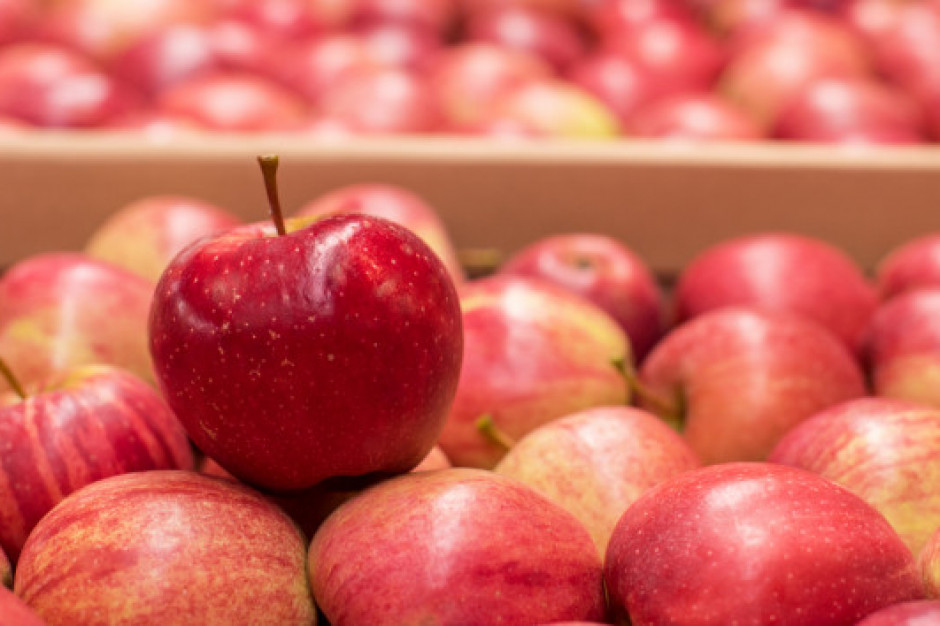 Polskie jabłka coraz częściej trafiają na rynki azjatyckie