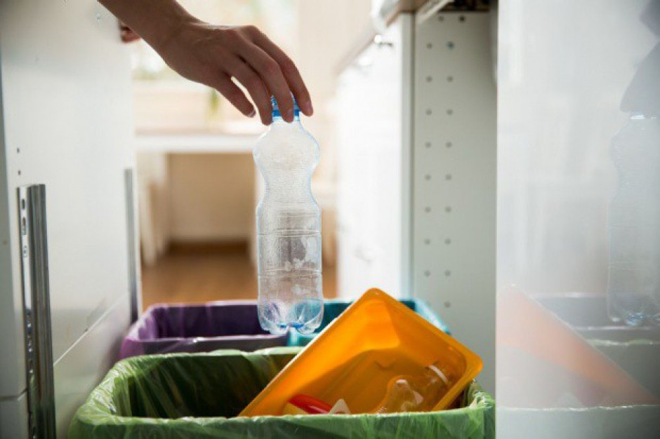 Fot. Shutterstock EDA o dyrektywie dot. plastików jednorazowego użycia