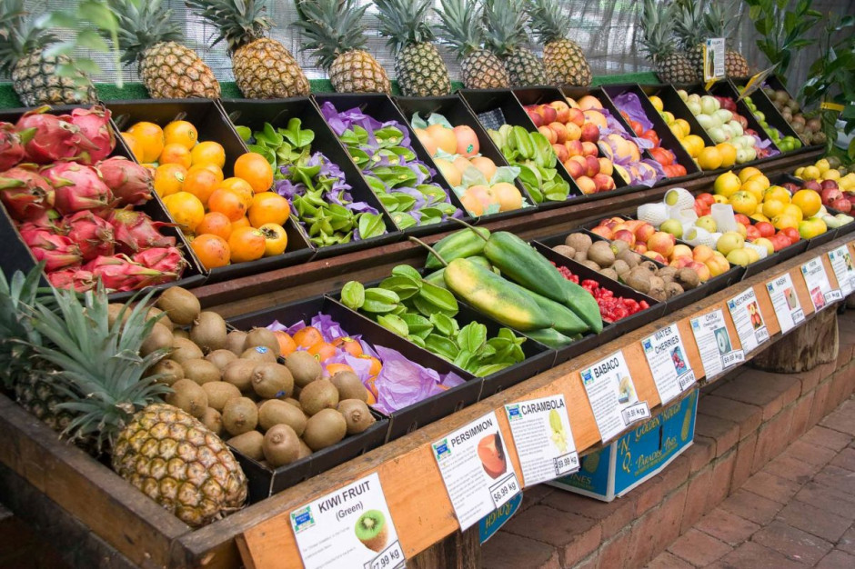 Polska technologia wspiera produkcję owoców tropikalnych w Australii