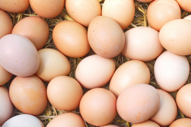 fot. shutterstock Coraz niższe marże na jajach w rozmiarze M i S