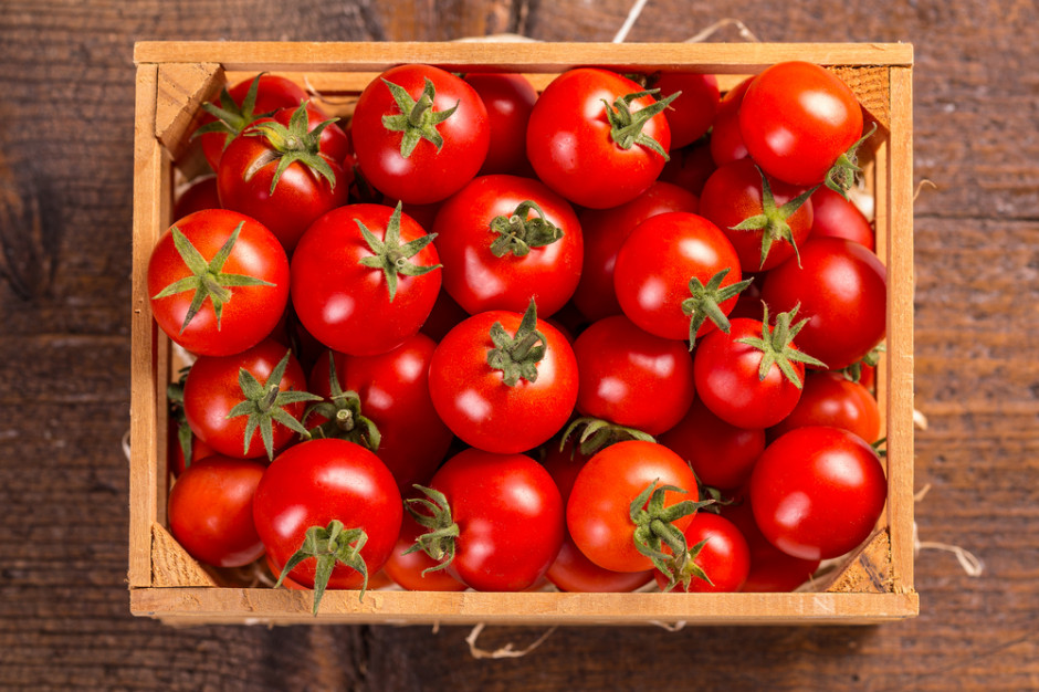 fot. shutterstock Tomberry powstała odmiana pomidorów o owocach wielkości borówek