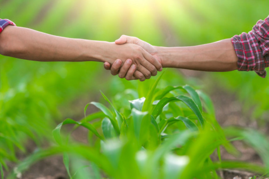 fot. shutterstock Sejm za poprawkami Senatu do ustawy o spółdzielniach rolników