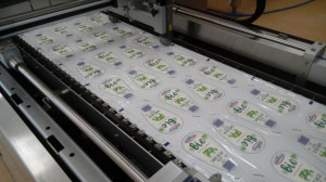 fot. RW, portalspożywczy.pl OSM Piątnica promuje produkty ekologiczne (galeria)
