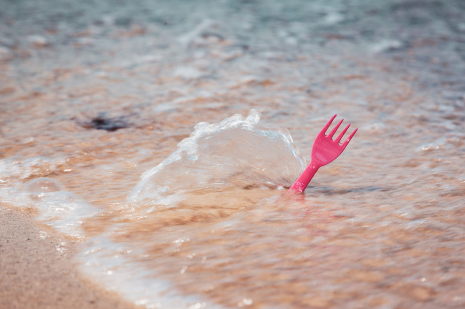 fot. shutterstock Komisja PE za zakazem dla niektórych plastików od 2021 roku