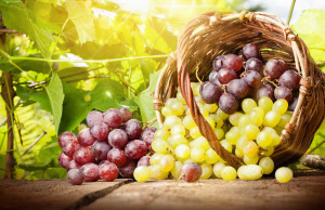 Fot. shutterstock Biedronka w 2017 r. sprzedała 30 proc. więcej winogron niż rok wcześniej