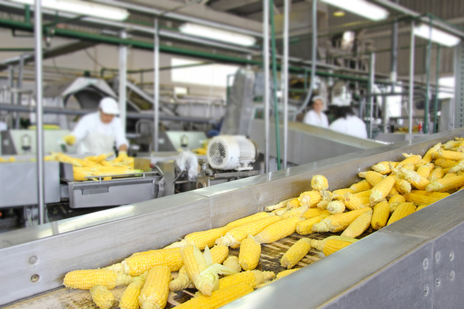 Fot. shutterstock Ekspert: Produkcja rośnie, ale spowolnienie puka do drzwi