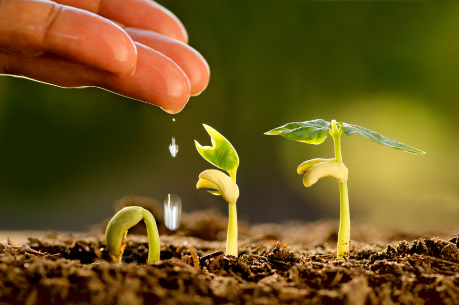 fot. Shutterstock Raport KE o perspektywach poszczególnych branż rolno-spożywczych na lata 2018-2030