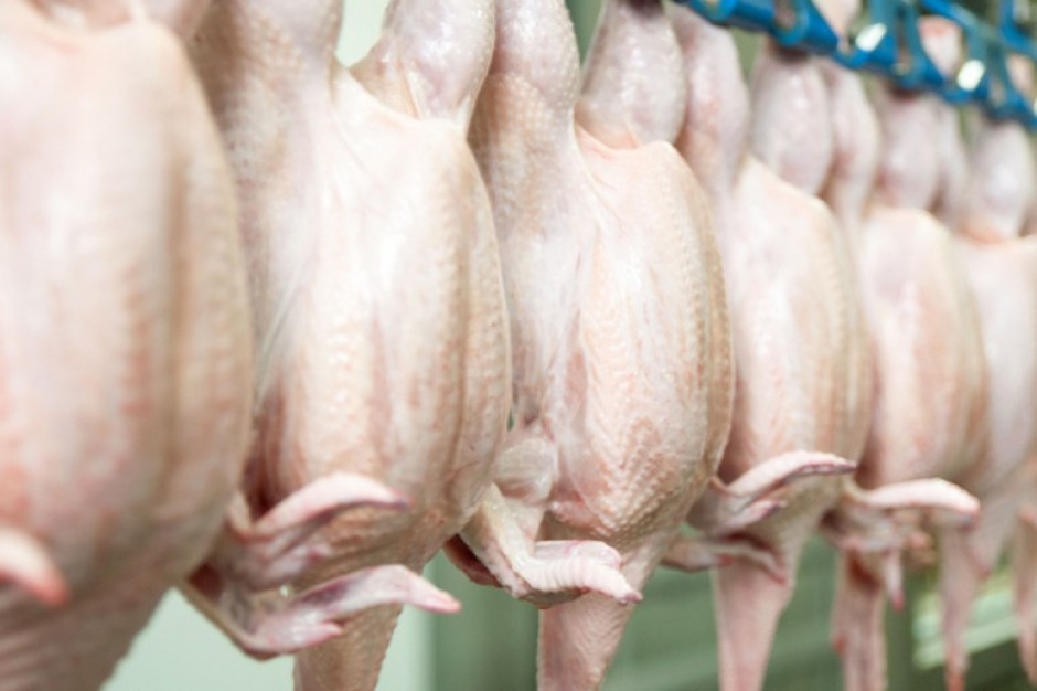 fot. shutterstock Produkcja drobiu na świecie rośnie wolniej niż zakładano