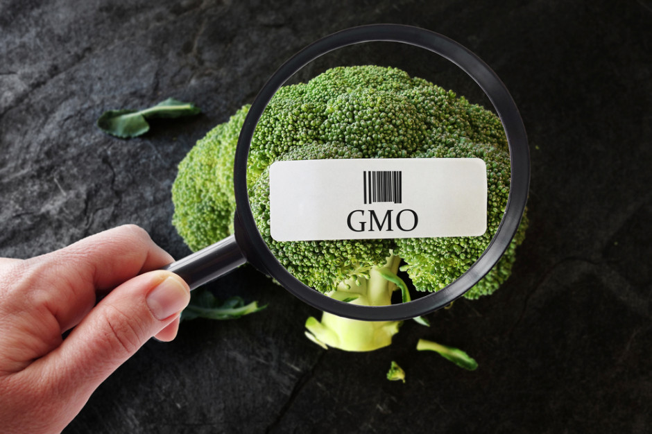 fot. shutterstock Nobliści: Należy złagodzić ograniczenia dotyczące GMO