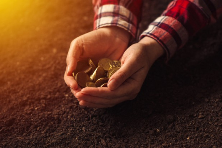 fot. shutterstock W 2018 r. dochody rolników spadły