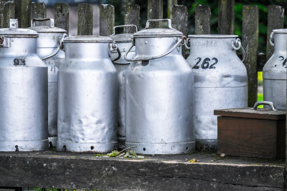 fot. pixabay Niemcy prognozują spadku cen mleka surowego na początku 2019 r.