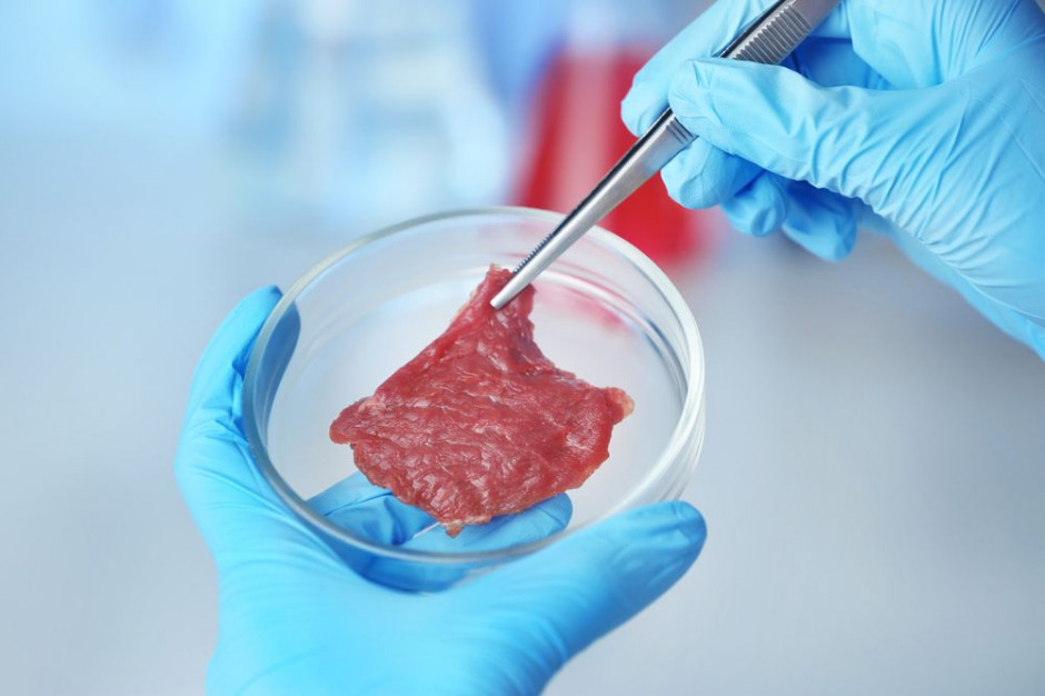 fot. shutterstock.com ZM Wierzejki: Ponad 70 mln zł na produkcję innowacyjnych przetworów mięsnych