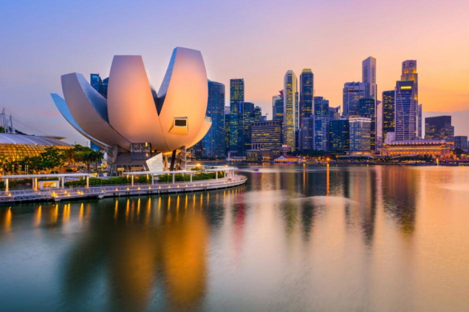 fot. shutterstock Singapur otwiera swój rynek na drób z Ukrainy